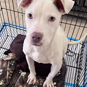My name is Lena (GA)!