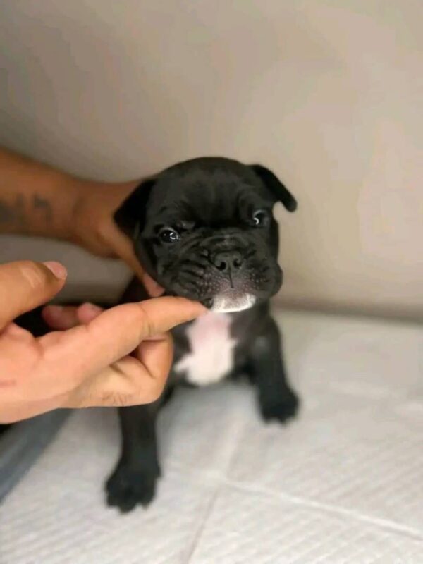 My name is Lena (GA)! - Image 2