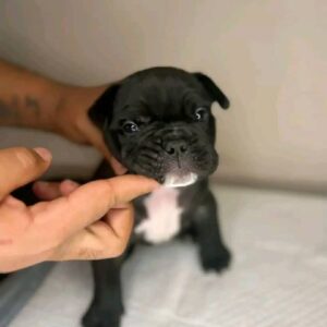My name is Lena (GA)!