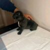 My name is Lena (GA)! - Image 3