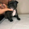 My name is Lena (GA)! - Image 4