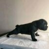 My name is Lena (GA)! - Image 5